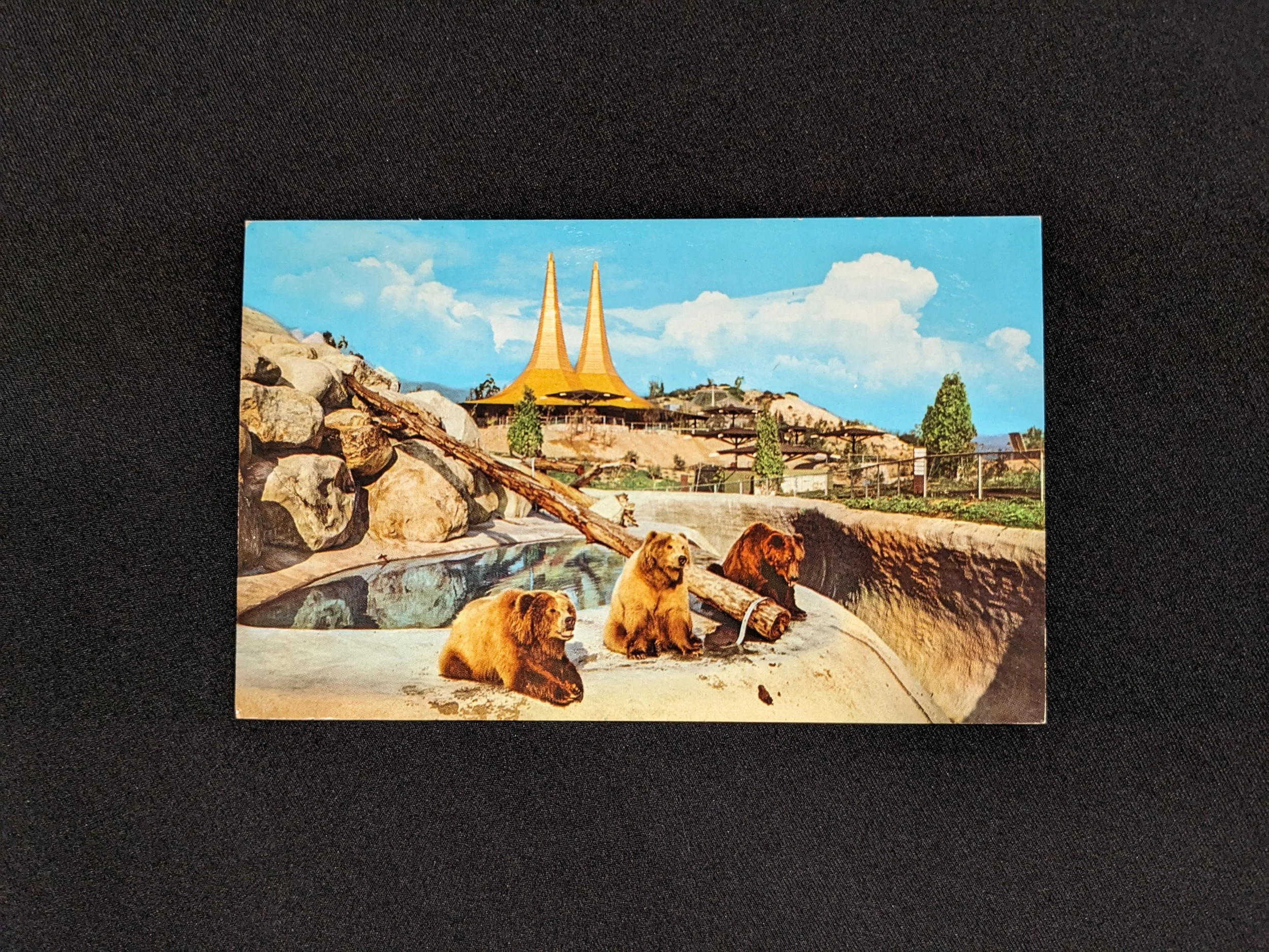 lazoo-postcard-1.jpeg