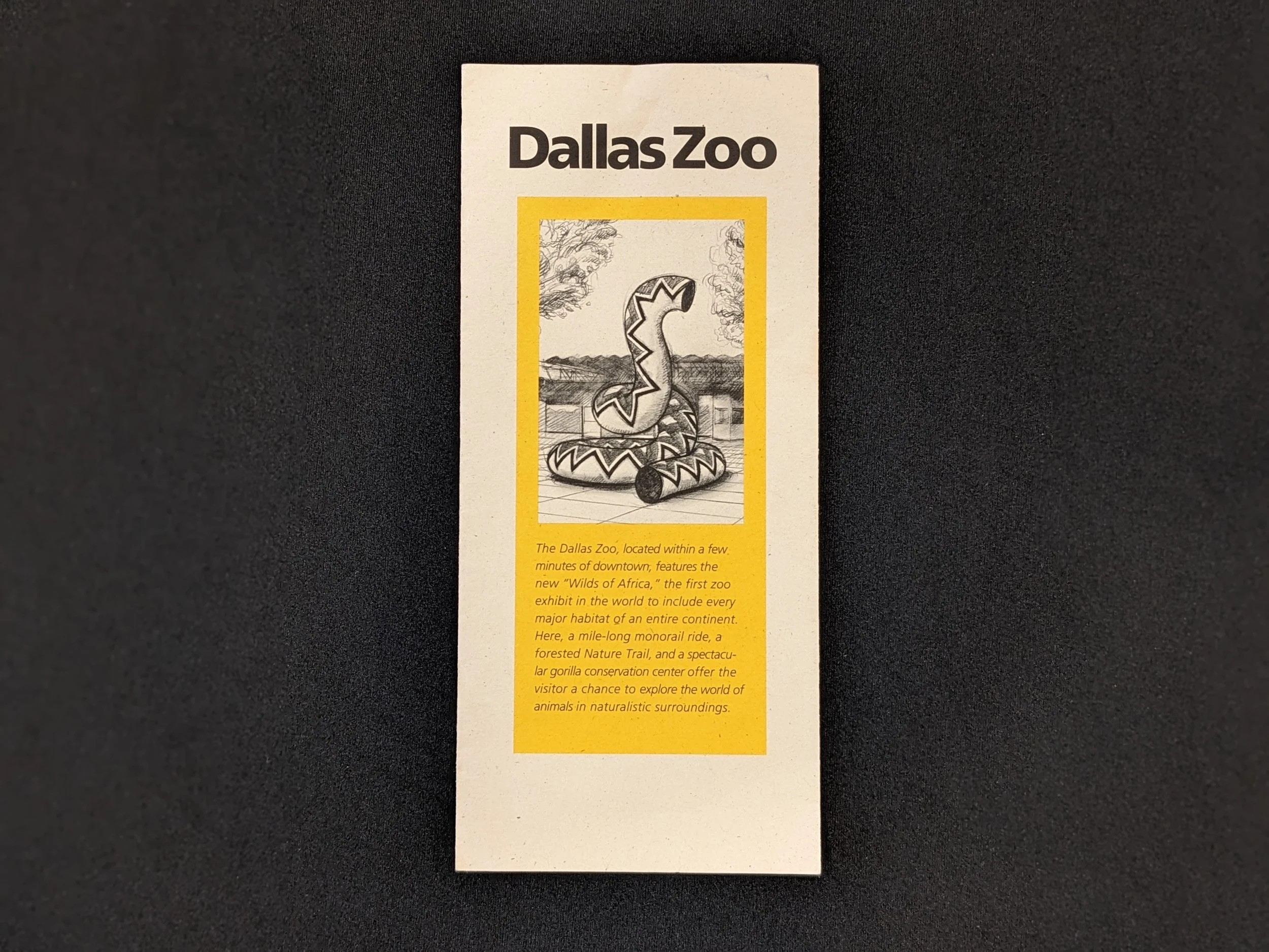 dallaszoo-3.jpg