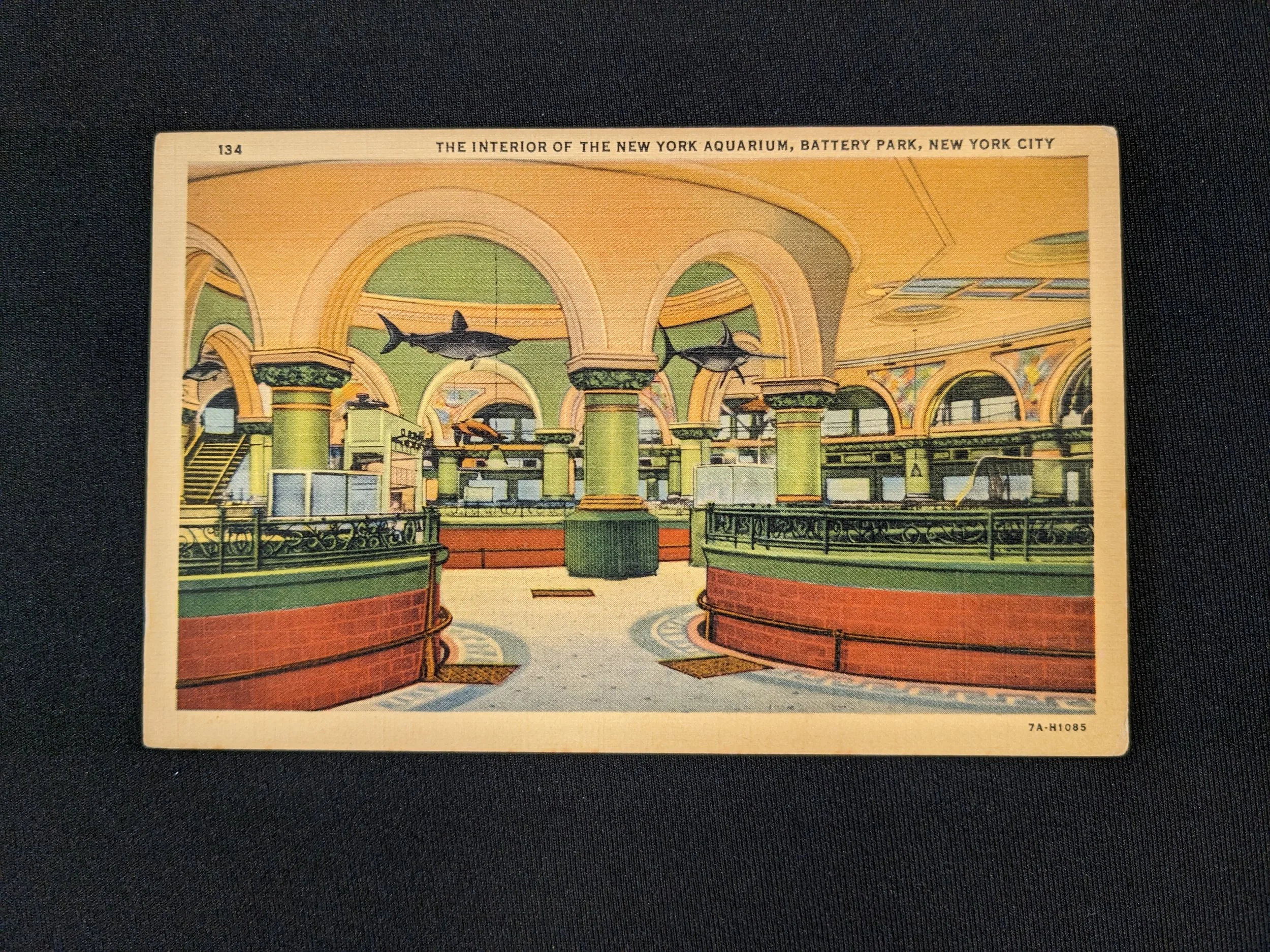 newyorkaquarium-postcard-1937-1.jpg