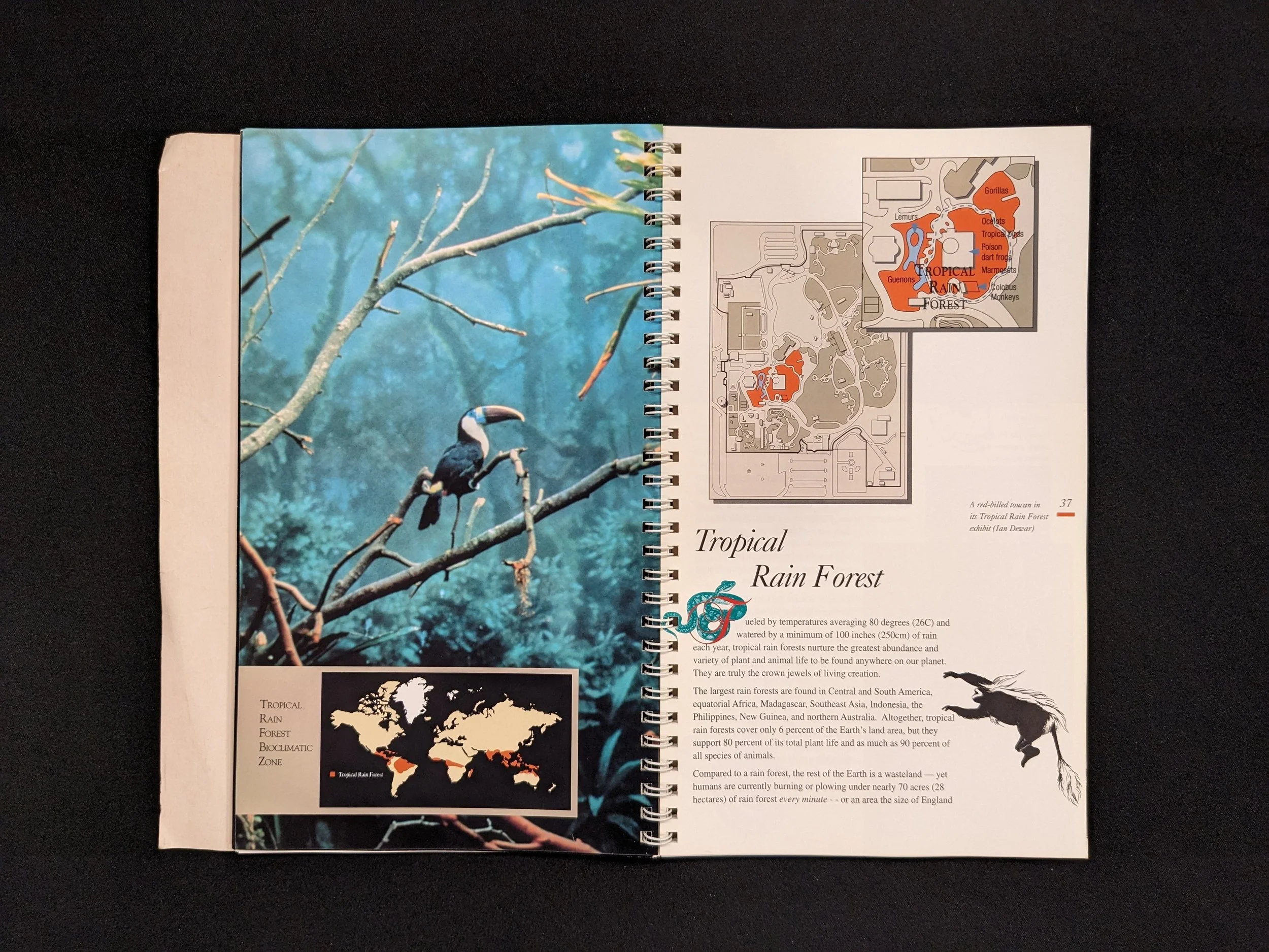 woodlandparkzoo-guide-1995-8.jpg