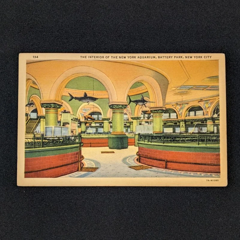New York Aquarium Postcard