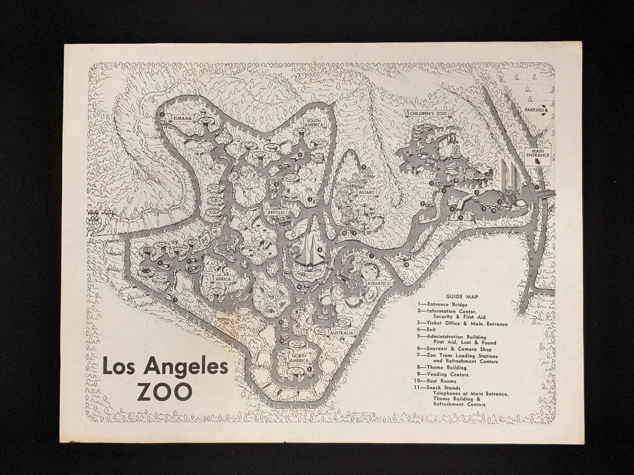 lazoo-1.jpg