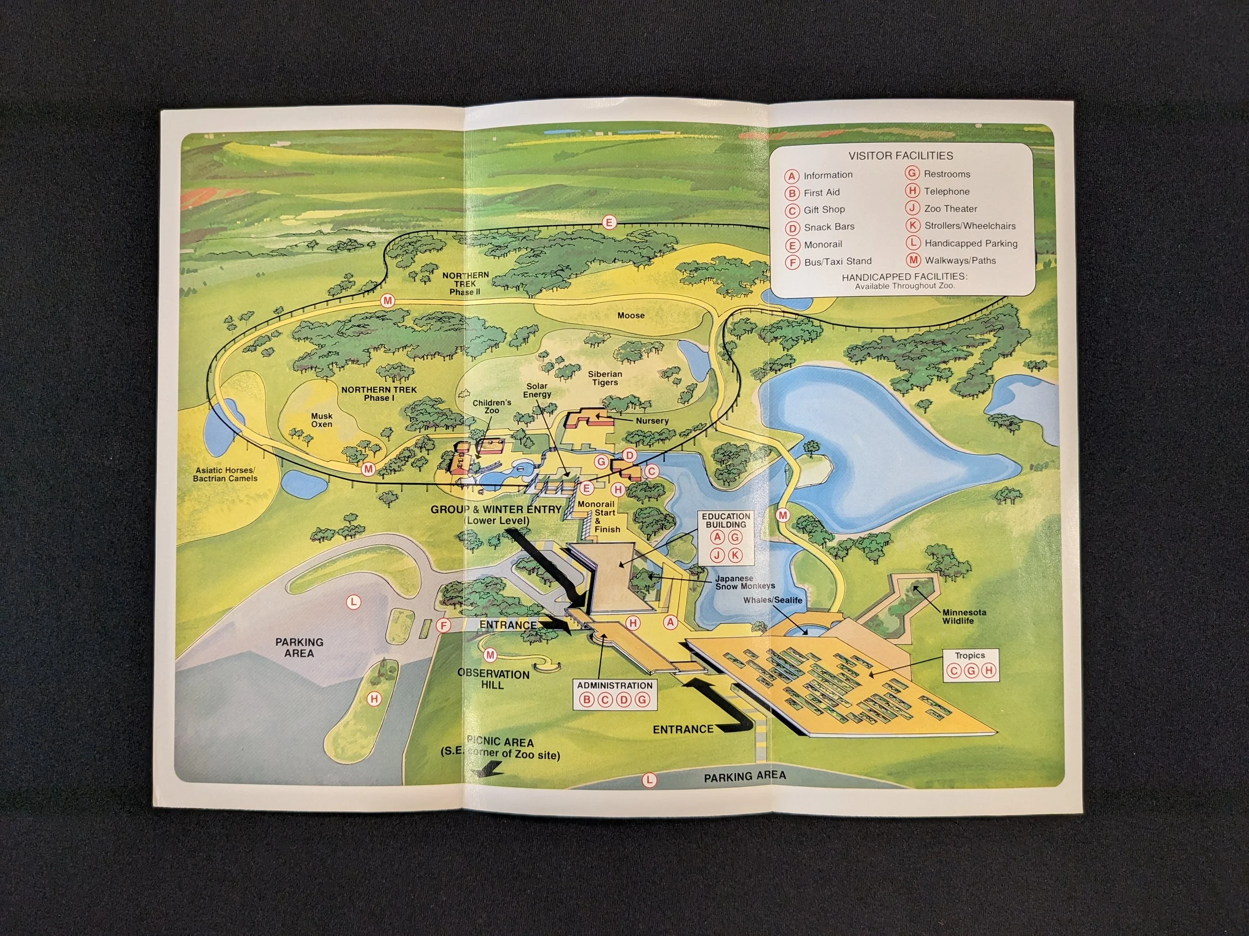minnesotazoo-1.jpeg