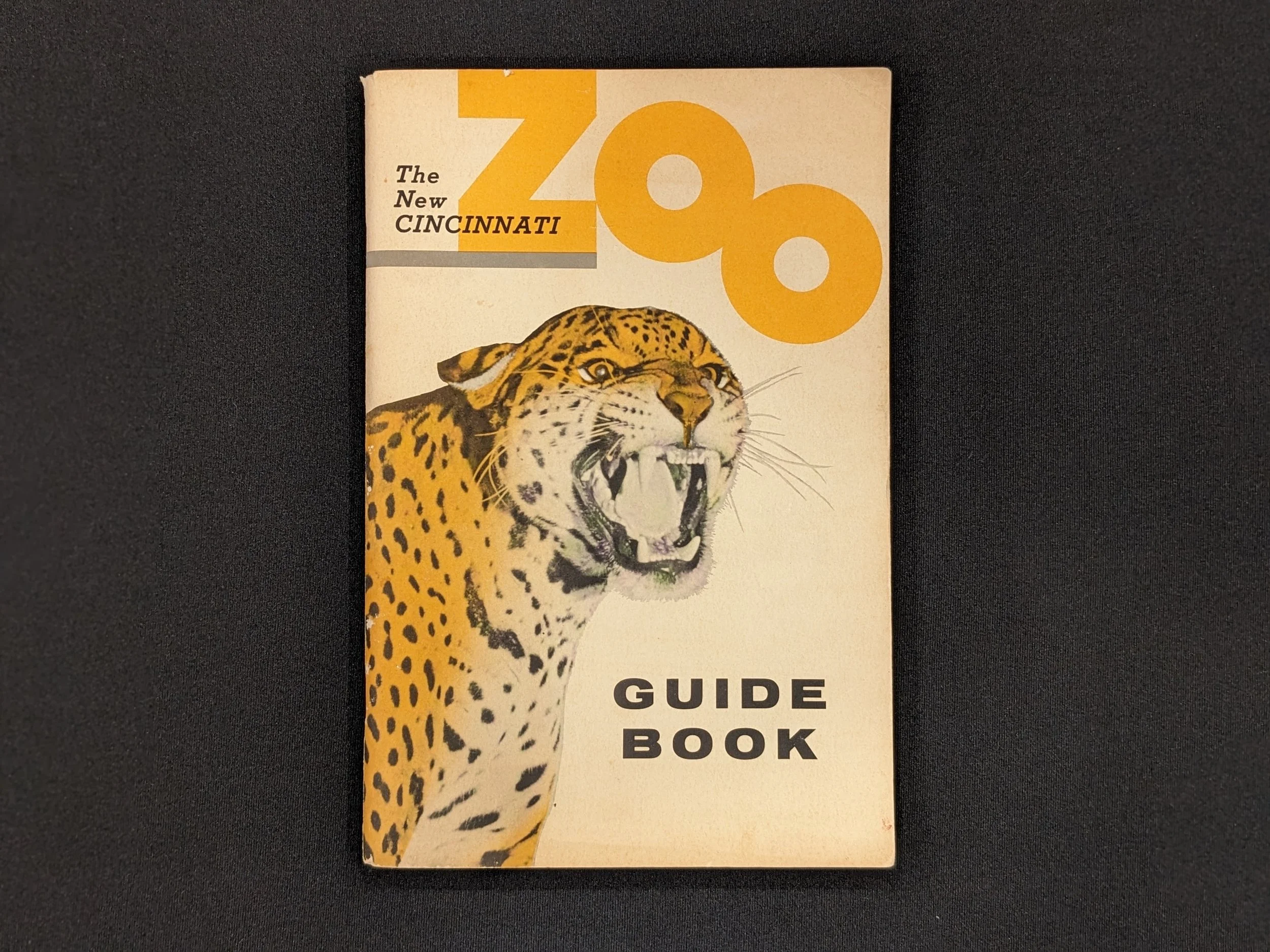 cincinnatizoo-1.jpg