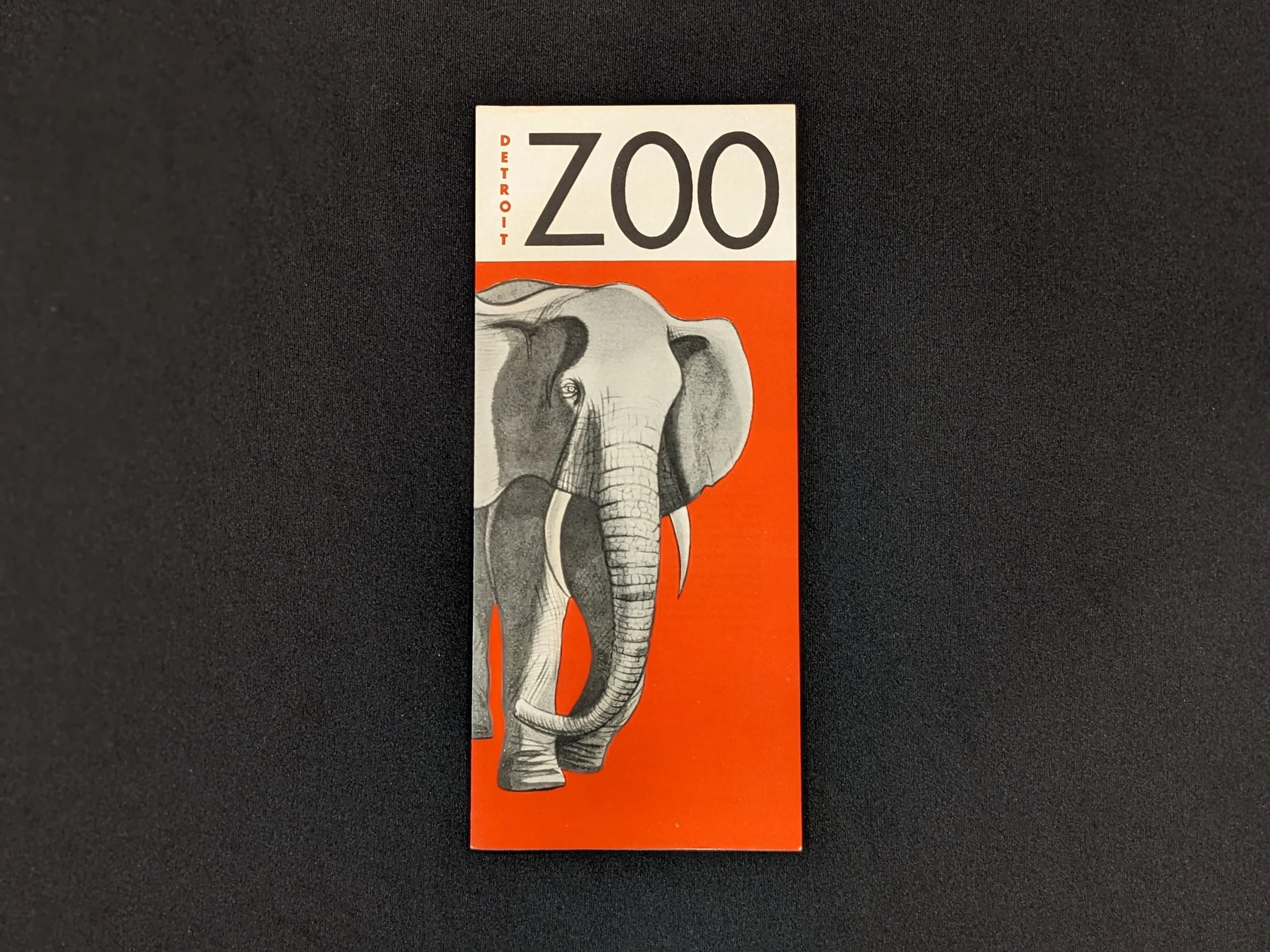 detroitzoo-1.jpg