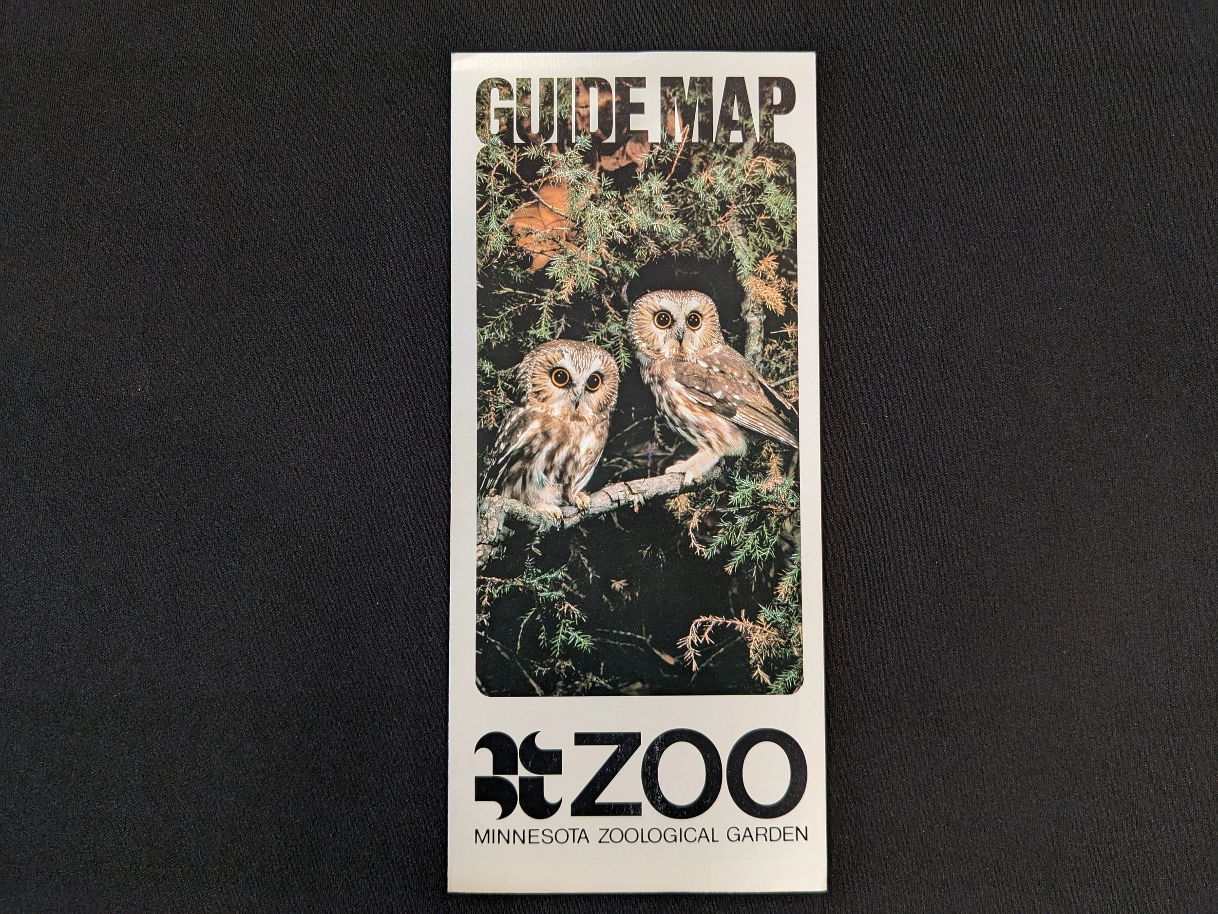 minnesotazoo-3.jpeg