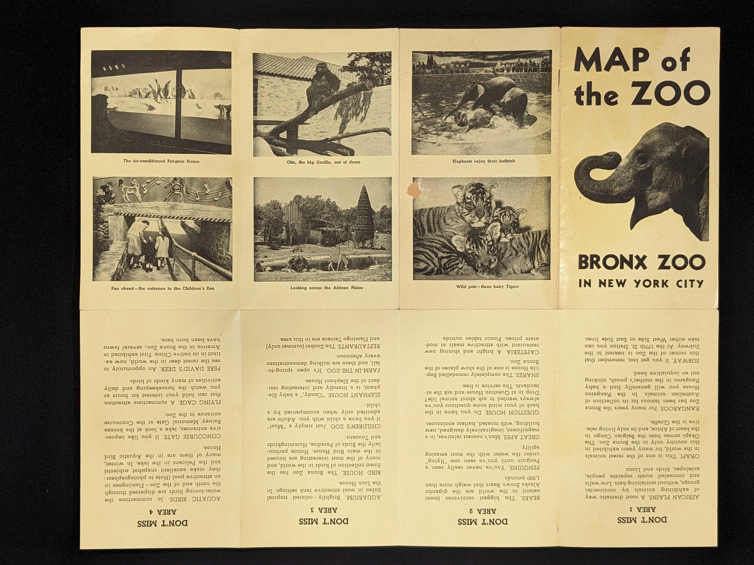 bronxzoo-2.jpg