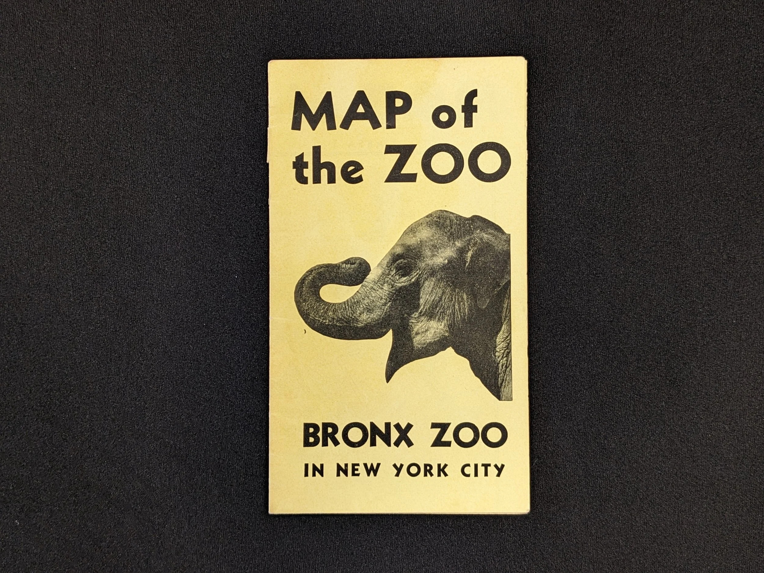 bronxzoo-1.jpg