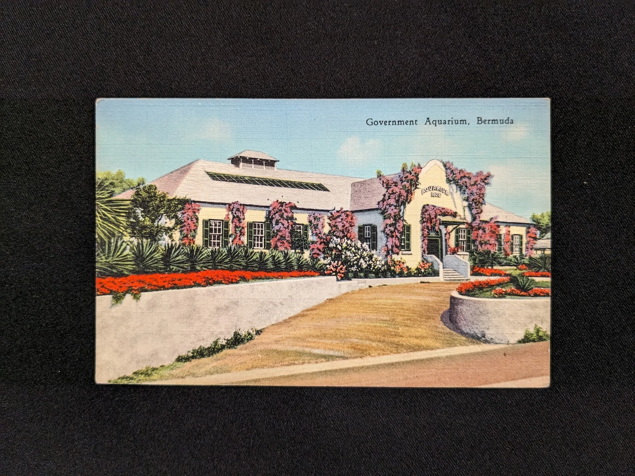 bermudaaquarium-postcard-1.jpeg