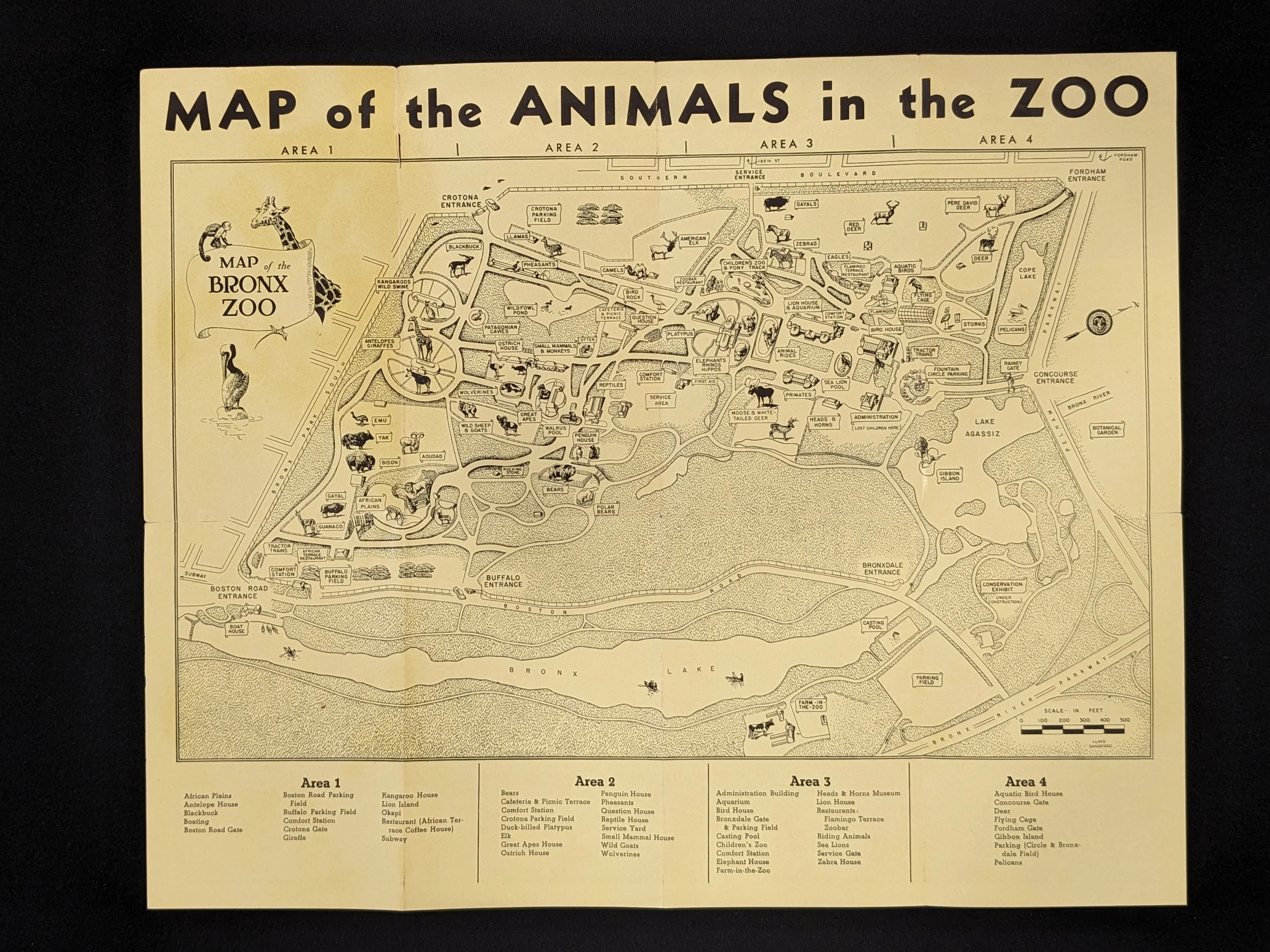 bronxzoo-3.jpg