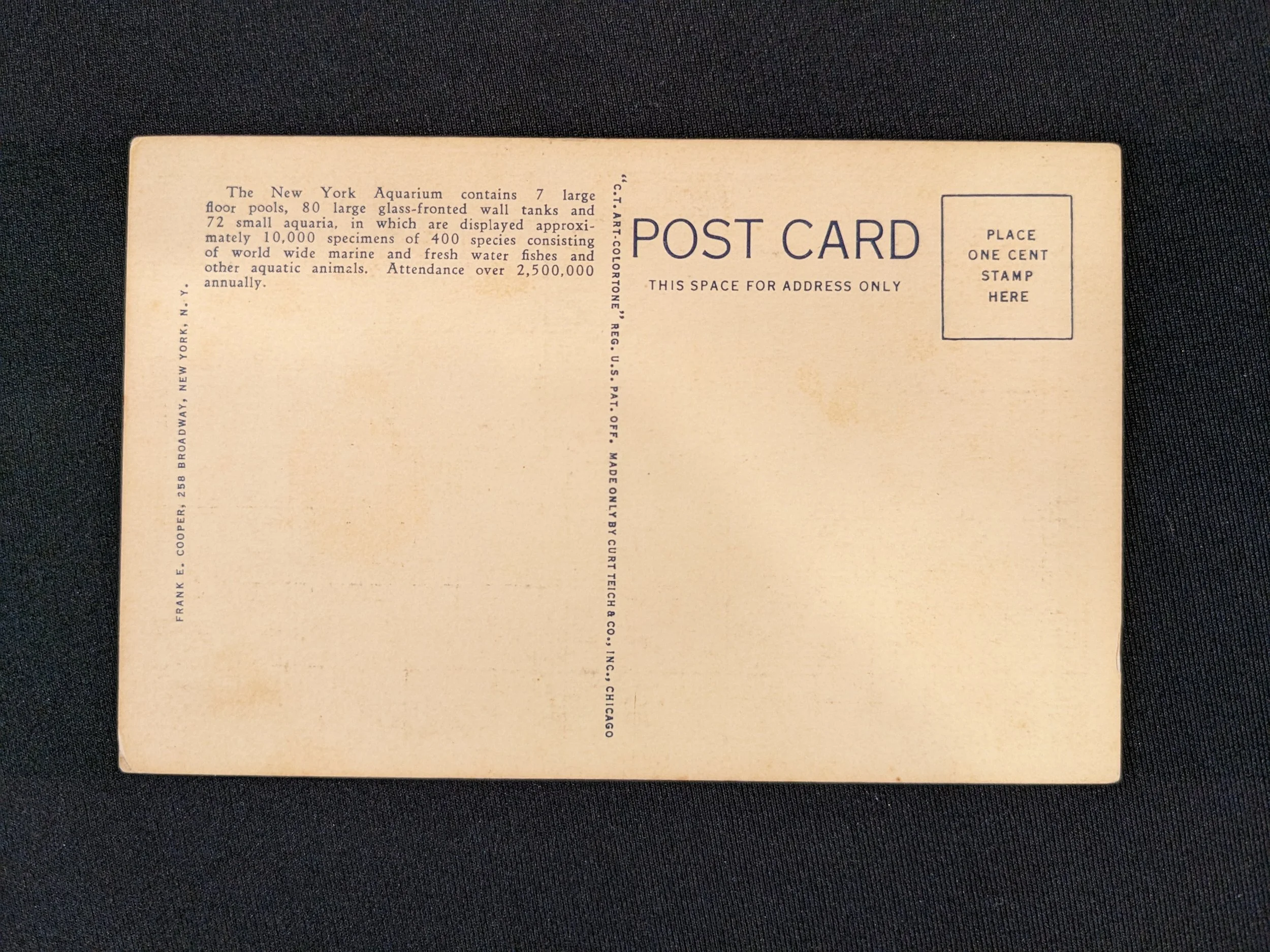 newyorkaquarium-postcard-1937-2.jpeg