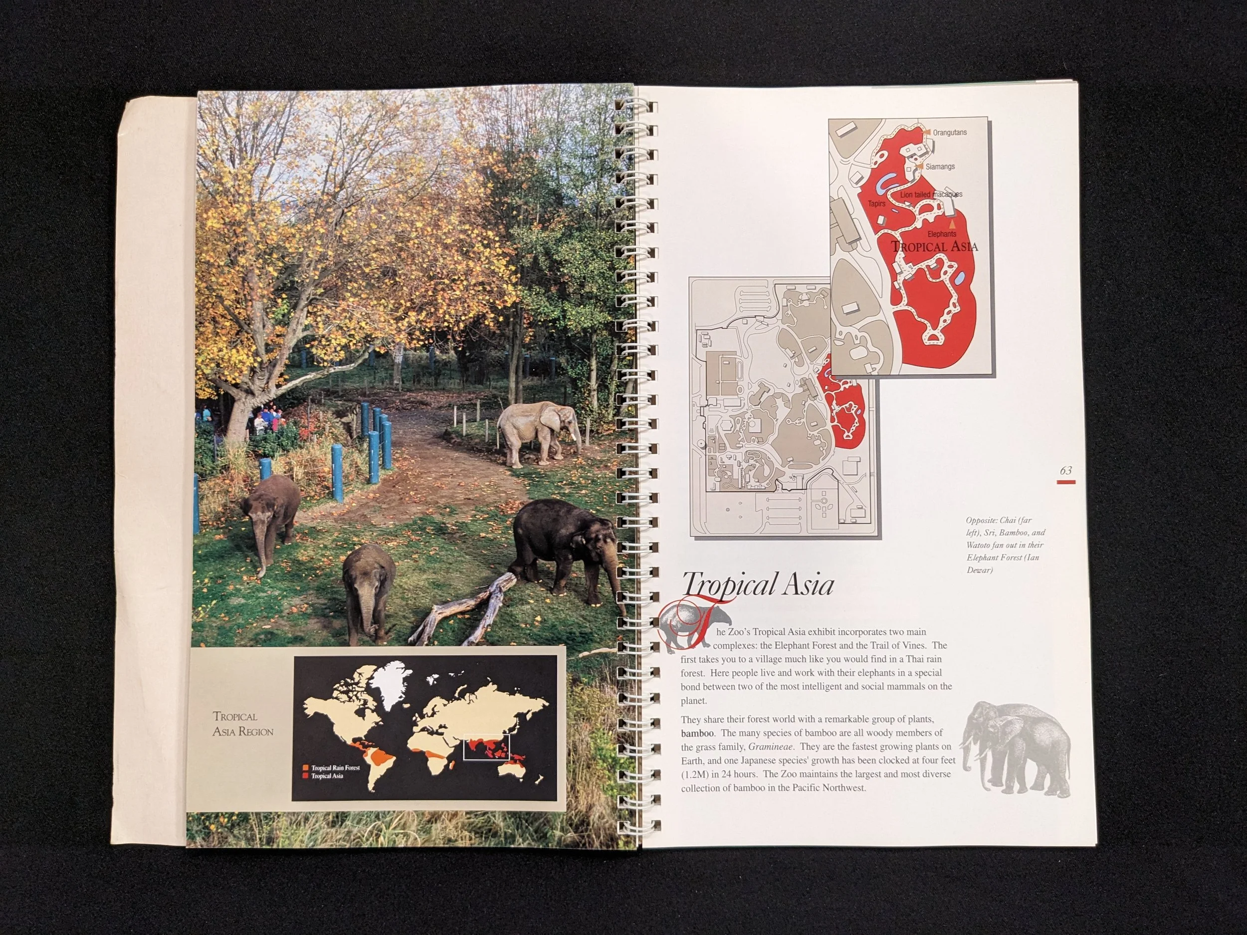 woodlandparkzoo-guide-1995-9.jpeg