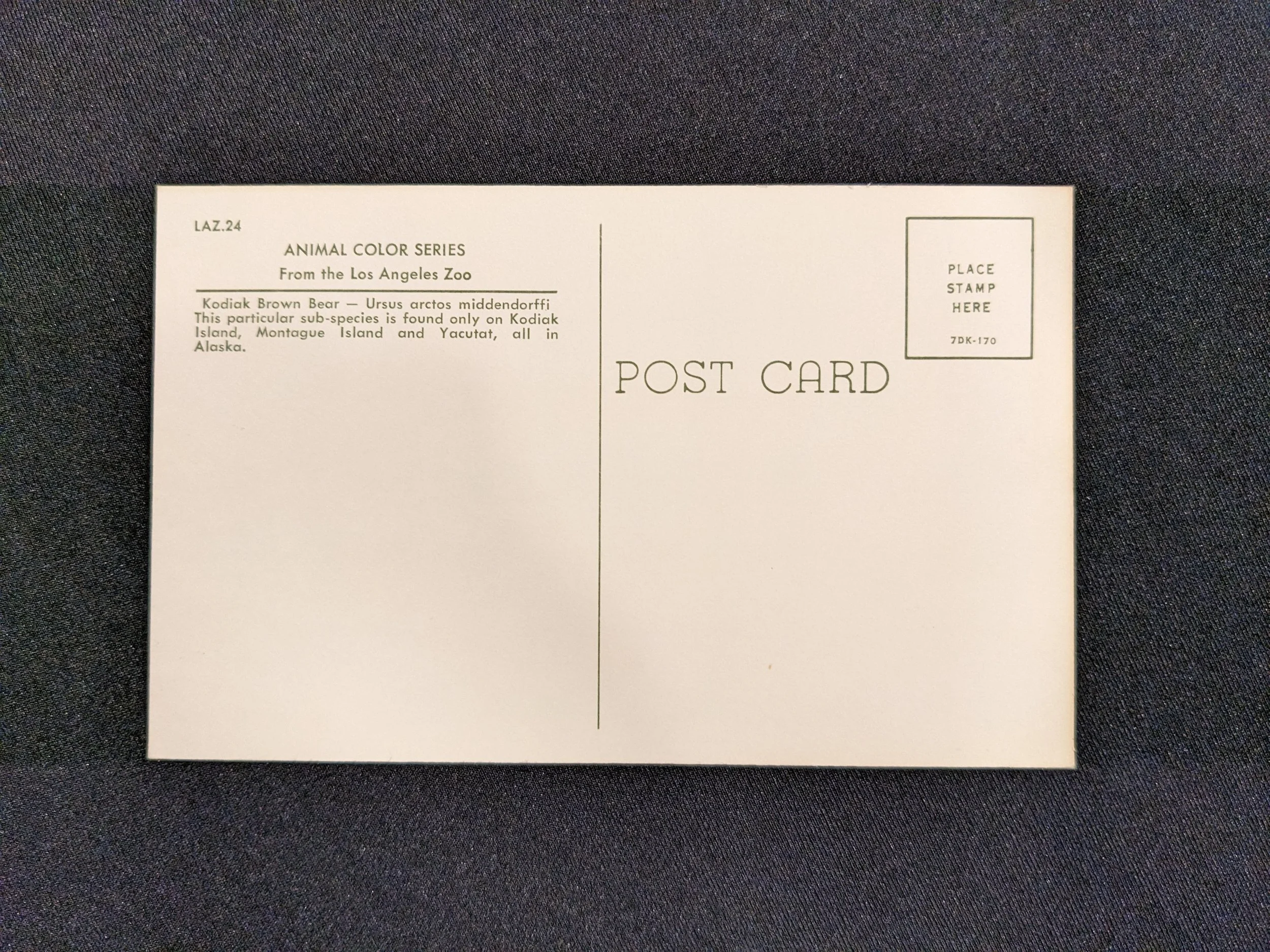 lazoo-postcard2.jpeg