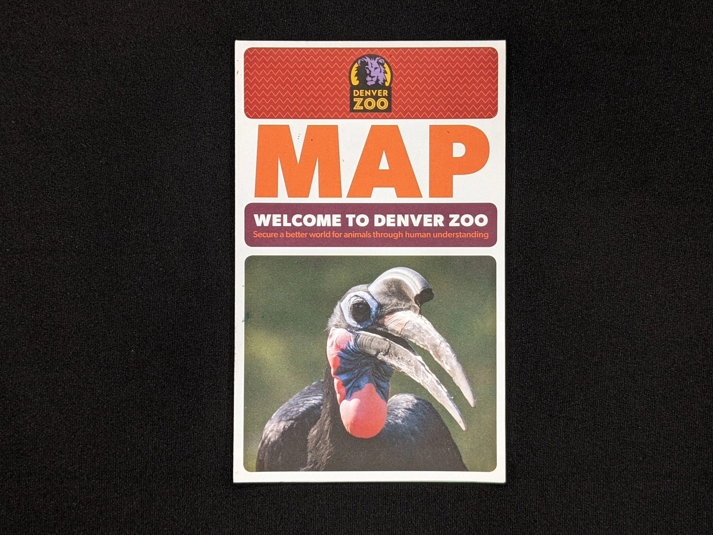 denverzoo-1.jpg