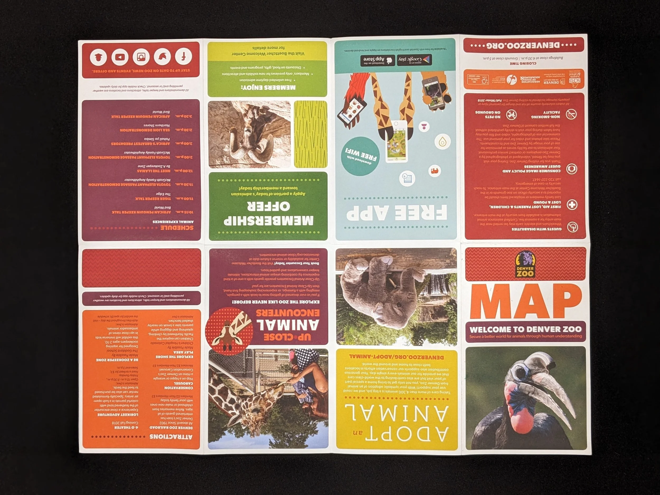 denverzoo-2.jpg