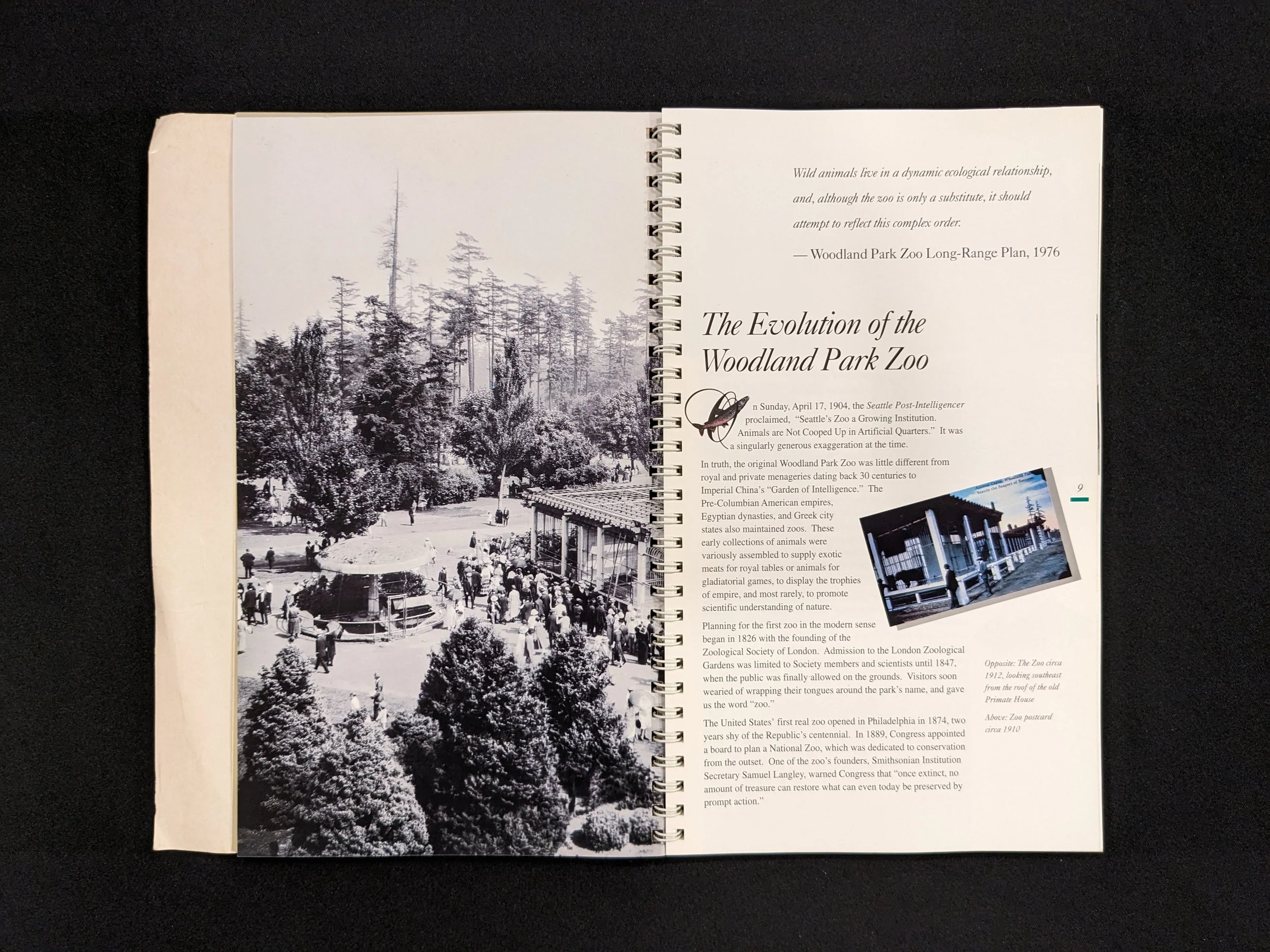 woodlandparkzoo-guide-1995-5.jpeg